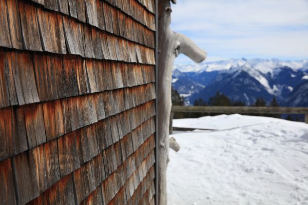 Cedar Siding Repair in Mill Valley