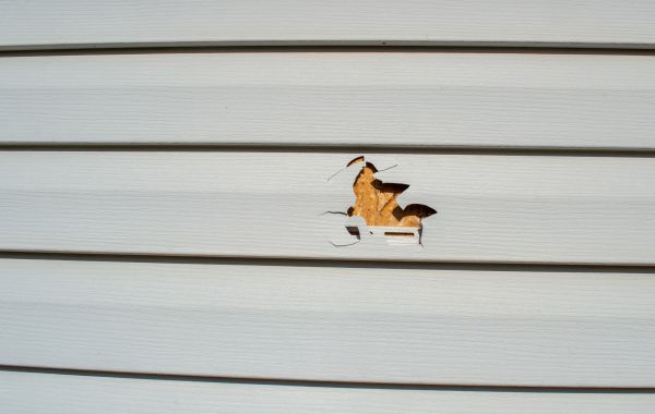 Siding Hole Patching in Mill Valley