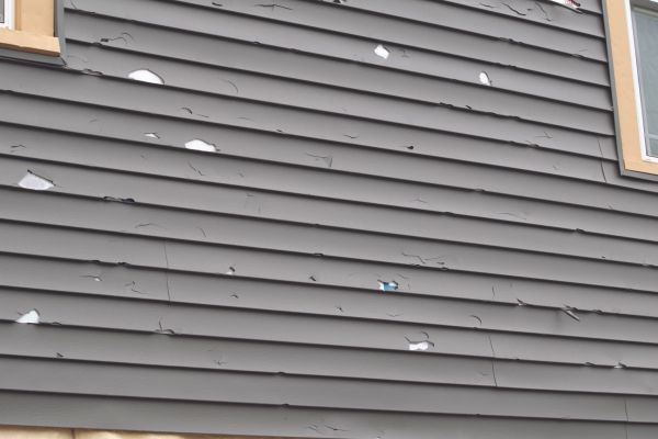 Damaged Siding Replacement in Mill Valley