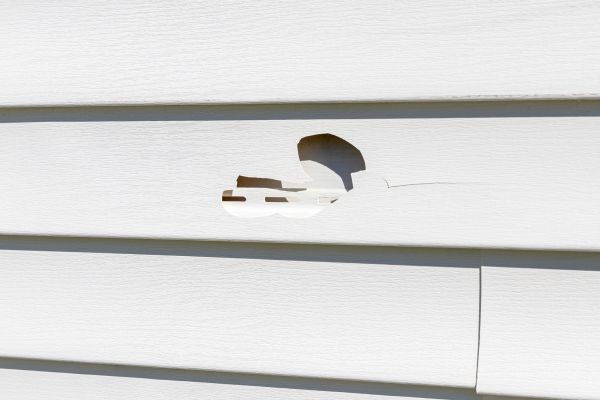 White Vinyl Siding Repair in Mill Valley